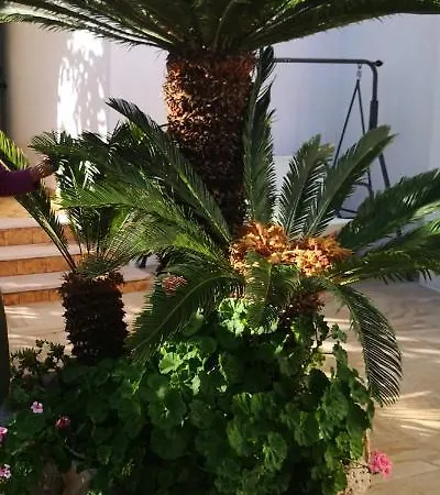 Casa vacanza Maria Appartamento Vieste